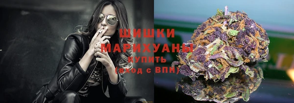 молекула духа Надым