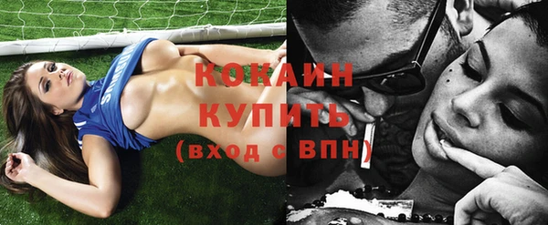 тгк Абаза