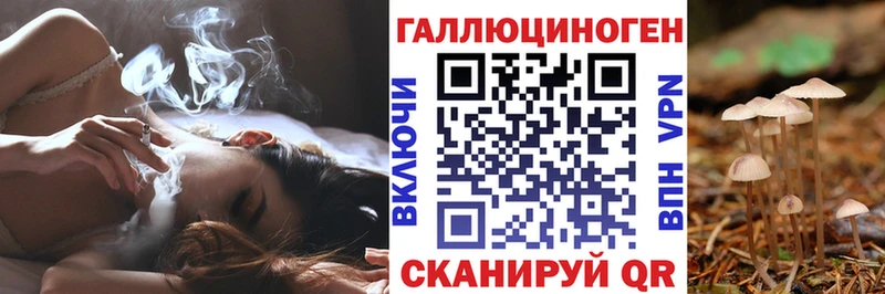 Псилоцибиновые грибы прущие грибы  гидра ТОР  Электроугли  как найти  